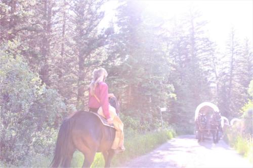 Buckskin Waiting For The Wagons